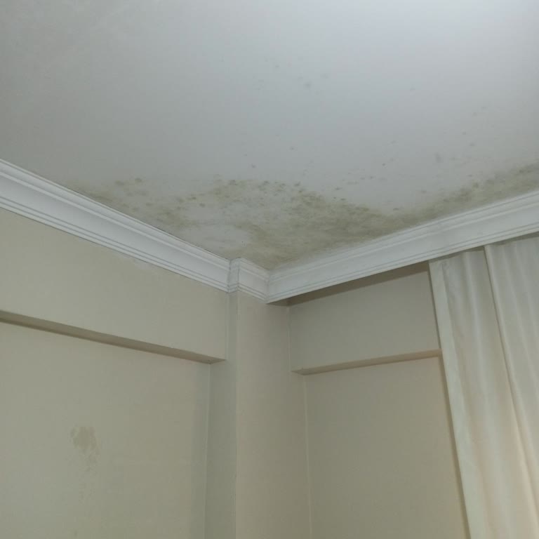 Axa Sigorta’da İzolasyon Kaynaklı Tavan Hasarının Ortak Alan Olarak Reddedilmesi