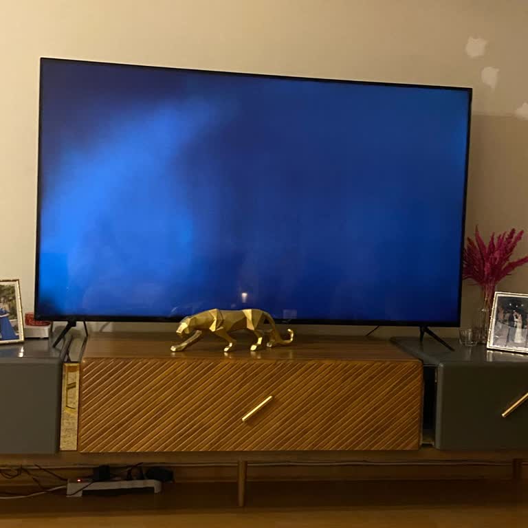 Vestel 65U9600 Televizyonun Tekrar Ekran Arızası: Ücretsiz Onarım İstiyorum