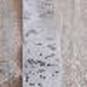 Teslim Edilmeyen Bulaşık Makinesi İçin Acil Çözüm Talebi