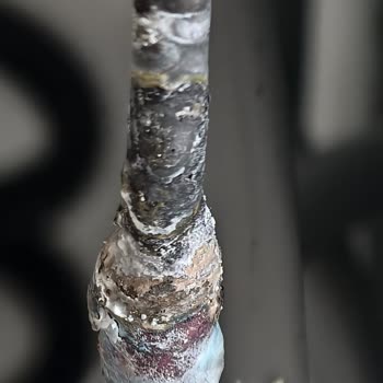 Yanık Borulu Buzdolabı Değişimi Gecikiyor, Açık Bilgi Bekliyorum