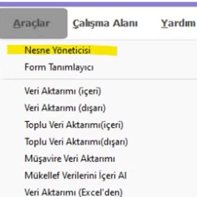 Logo Yazılım Destekten İş Ortağı Yönlendirmesi Yetmez, Nesne Yöneticisi Ekranı Eksik