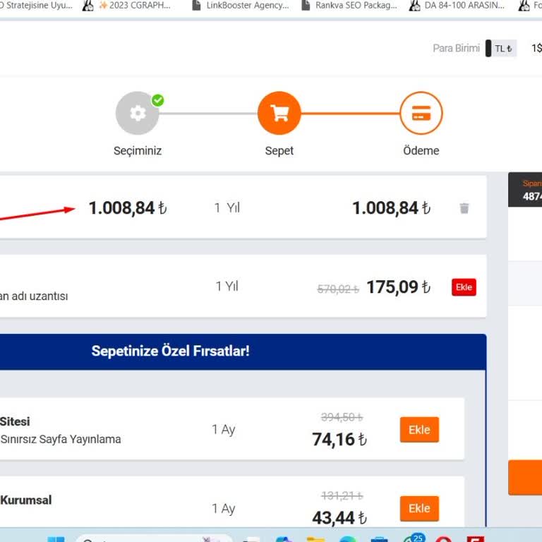 Natro Hosting'in Fahiş Domain Yenileme Ücreti Ve Destek Eksikliği