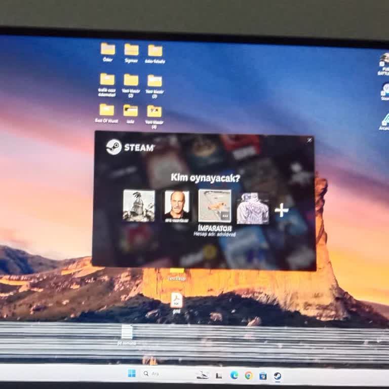 Monitör Çizgi Sorunu Ve Garanti Sürecinde Satıcı Yardımsızlığı