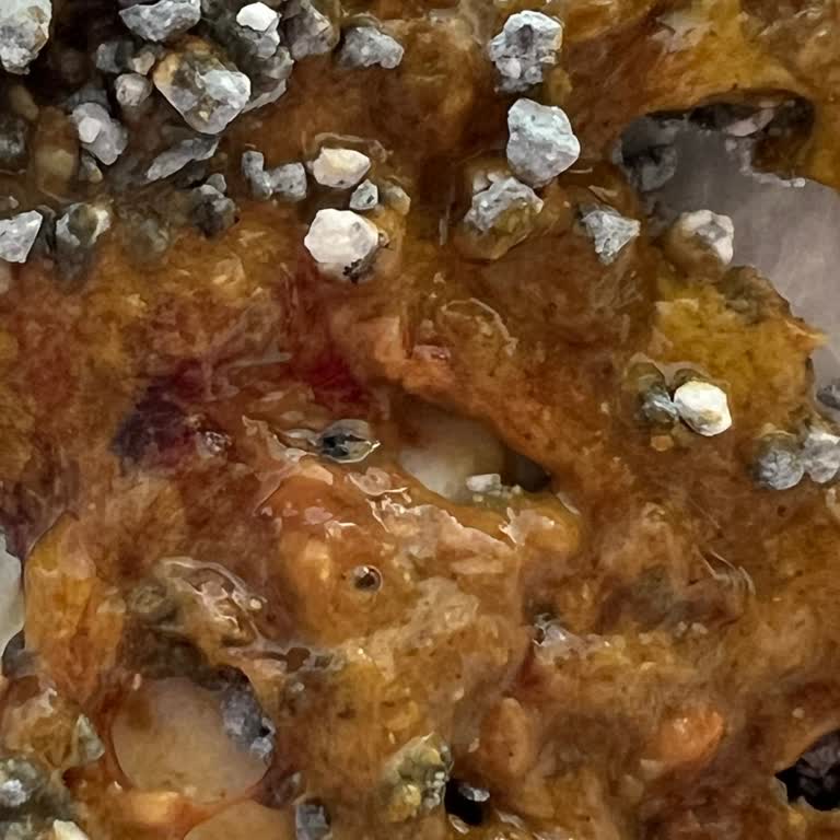 Amazon Aşırı Tozlu Kedi Kumu Kedimin Hastalanmasına Neden Oldu