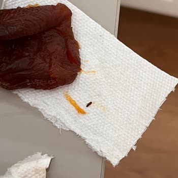 Hamile Kadının Hijyen Endişesi: Kayısı Gün Kurusunda Böcek Tespiti