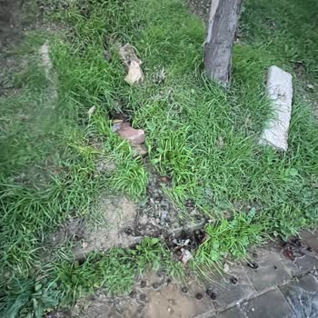 Akasya 17 Sokakta Havuz Suyunun Sokakları Sürekli Sulandırması Yetkililer Çözüm Bekliyor