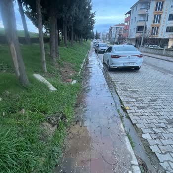 Akasya 17 Sokakta Havuz Suyunun Sokakları Sürekli Sulandırması Yetkililer Çözüm Bekliyor