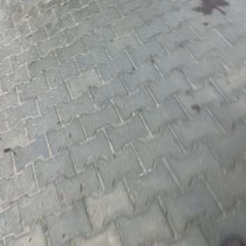 Akasya 17 Sokakta Havuz Suyunun Sokakları Sürekli Sulandırması Yetkililer Çözüm Bekliyor