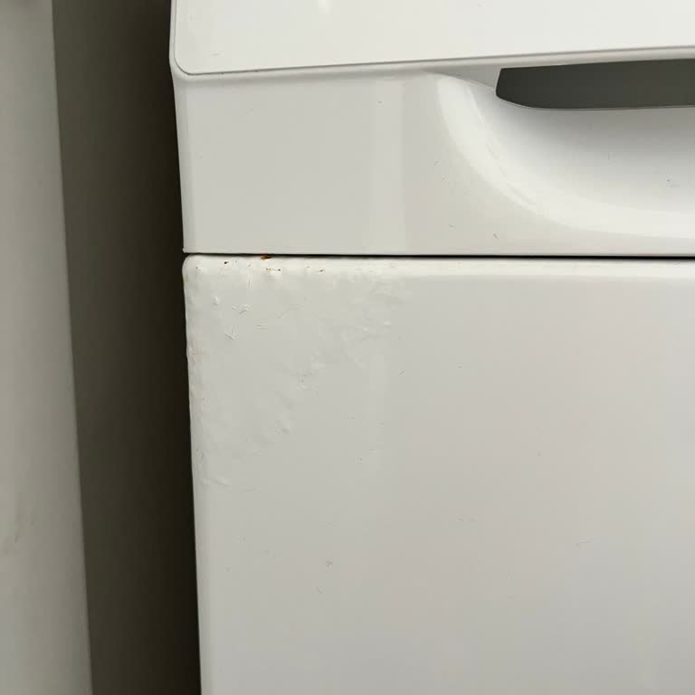 Siemens Çamaşır Makinesinde Boya Soyulması Ve Küflenme Sorunu