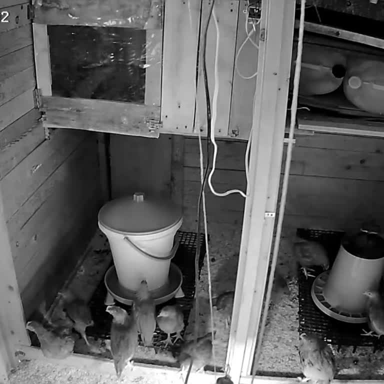 Xenon Kamera Arızalı, Garantili Değişim Talebim Cevapsız