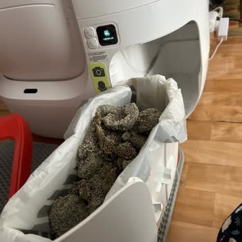 Evofone Petkit Kum Kabı Sürekli Kum Saçıyor, Değişim Talebi