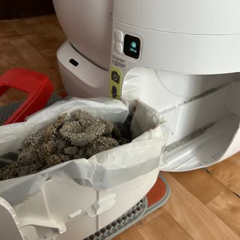 Evofone Petkit Kum Kabı Sürekli Kum Saçıyor, Değişim Talebi