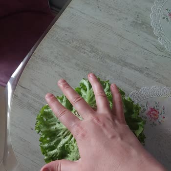 Çürük Limon Ve Küçük Kıvırcık Marul: Migros Sanal Market'te Hayal Kırıklığı