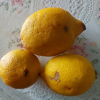 Çürük Limon Ve Küçük Kıvırcık Marul: Migros Sanal Market'te Hayal Kırıklığı