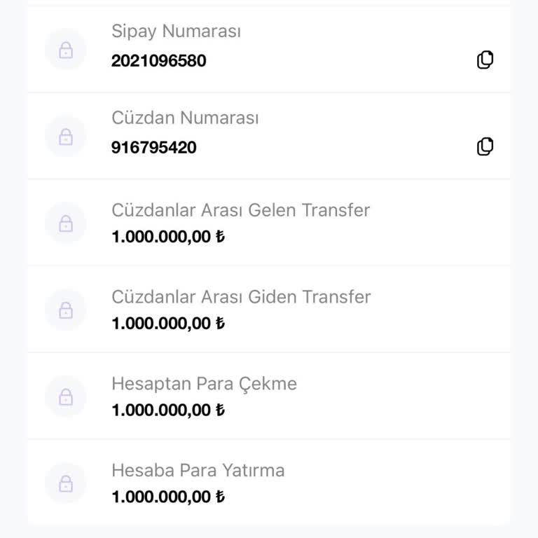 Sipay'de TL Ve Altın Hesaplarım Açıklamasız Kısıtlanması
