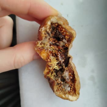 Kuru İncirlerde Küf Ve Çürük Sorunu