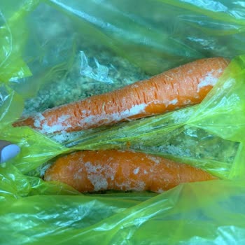 Sebzelik Bölümünde Sürekli Donma Sorunu Ve Ürün Değişimi Talebi