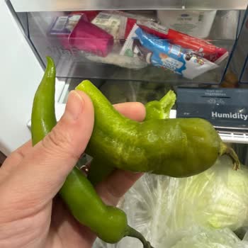 Sebzelik Bölümünde Sürekli Donma Sorunu Ve Ürün Değişimi Talebi