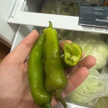 Sebzelik Bölümünde Sürekli Donma Sorunu Ve Ürün Değişimi Talebi