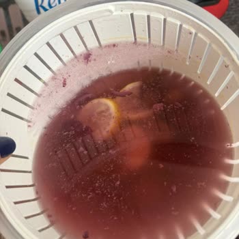 Sebzelik Bölümünde Sürekli Donma Sorunu Ve Ürün Değişimi Talebi