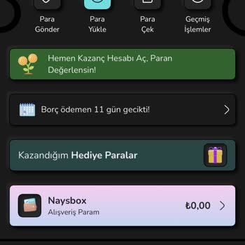 Üçüncü Taksitin Otomatik Çekilmesi Ve Ödeme Sorunu