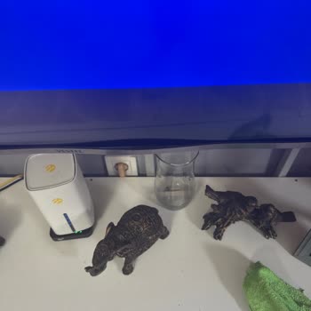 Ana Kart Arızası Ve Kasa Erimesi Sonrası Ücret Talebine Karşı Şikayet