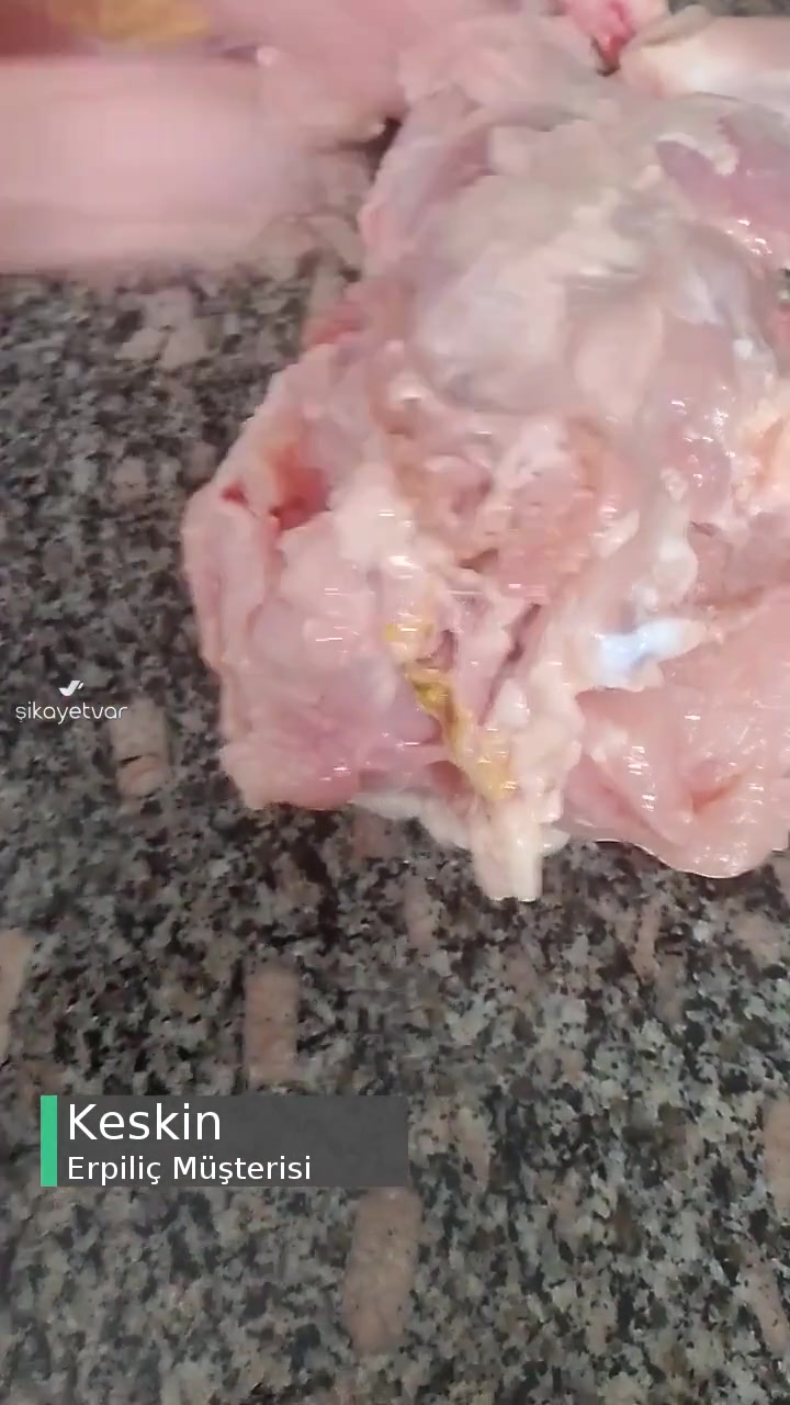 Erpiliç Tavuğun İçinden Çıkan videonun kapak resmi