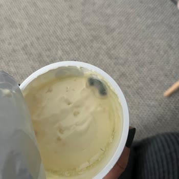 Küflü Ve Bozulmuş Sek Quark Yoğurtları İçin İade Talebi