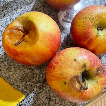 Çürük Meyve Ve Geri Dönüşü Olmayan İade: Getir Büyük'te Müşteri Mağduriyeti