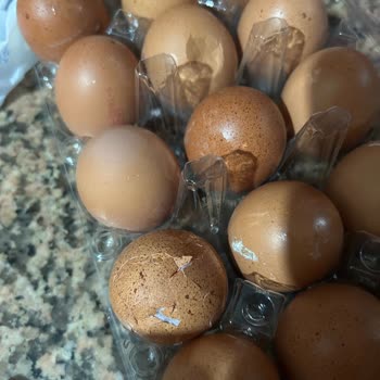 Migros’tan Bozuk Yumurtalar İçin İade Ve Çözüm Talebi