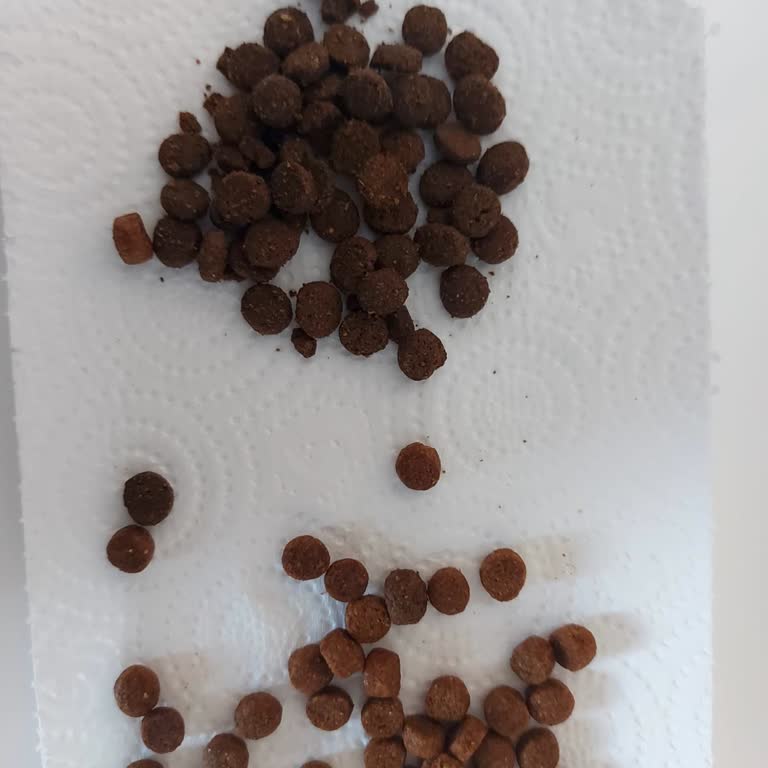 Sahte Kedi Maması Ve Cevapsız Satıcı