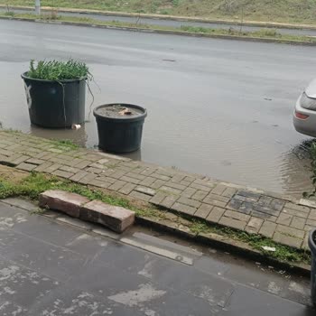 Aidat Ödedim, Çöp Toplanmadı: Site Yönetiminden Çözüm Bekliyorum