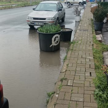 Aidat Ödedim, Çöp Toplanmadı: Site Yönetiminden Çözüm Bekliyorum