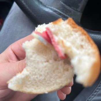 Taze Görünmesine Rağmen Küflü Kaşarlı Sandviç