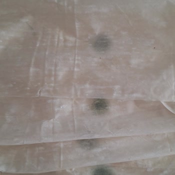 İki Pakette De Küflü Yufka: Sağlık Ve Hijyen Endişesi