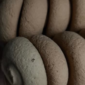 A101 Şanal Şekerpare Paketi İçinde Sinek Ve Yanıtsız Müşteri Hizmeti