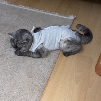 Koruyucu Elbisenin Erken Çıkarılması Ve Aşırı Ücretlendirme