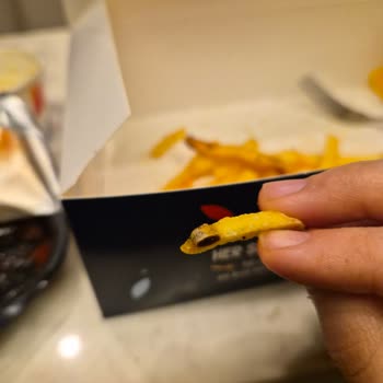 Küflü Hamburger Ve Kirli Patatesler İçin Sağlık Endişesi