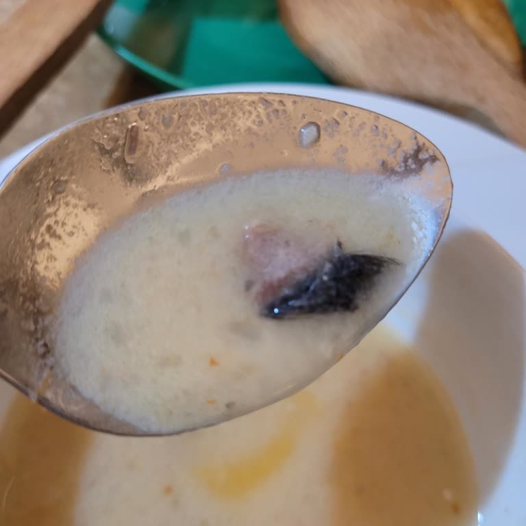 Fide Kelle Paça Çorbasında Tüy Görülmesi Hijyen Şikayeti Ve İade Talebi