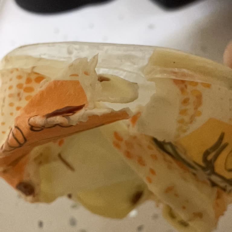 Geç Gelen Çorba Soğuk Ve Dökülmüş, Destek Yok