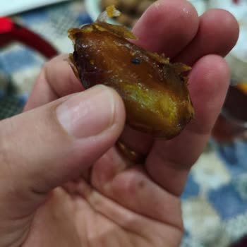 Hurmadaki Böcek Sorunu İçin İade Ve Soruşturma Talebi