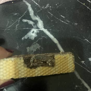 Gıda Ürününde Bulunan Metal Parça Çocuğumun Hayatını Tehdit Etti