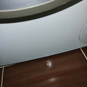 Bosch WGA25200TR/21 Çamaşır Makinesinde Kapak Sızıntısı Ve Garanti Onarımı Talebi