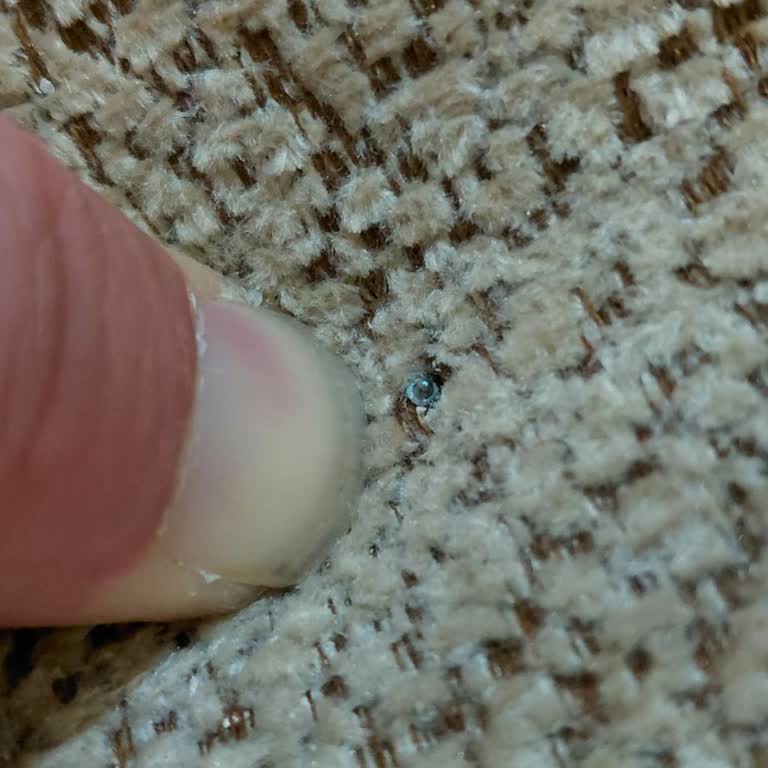 Garanti Değişimi Sonrası Yeni Sandalyelerde Kalite Sorunu Ve Tam İade Talebi