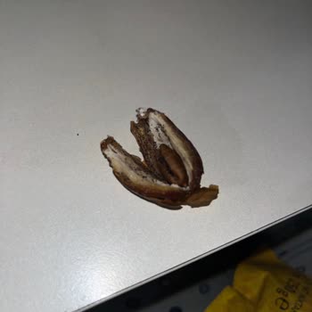 Hurmalarda Böcek Kalıntısı Ve Hijyen Endişesi, İade Talebi