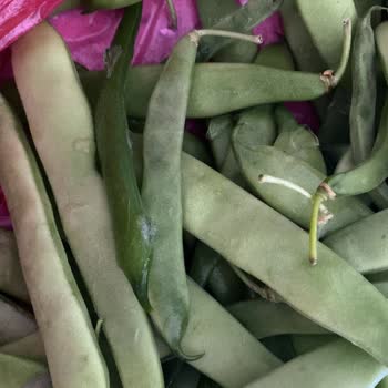 Siemens Buzdolabının Sürekli Arızası Ve Servisin Çözüm Üretmemesi