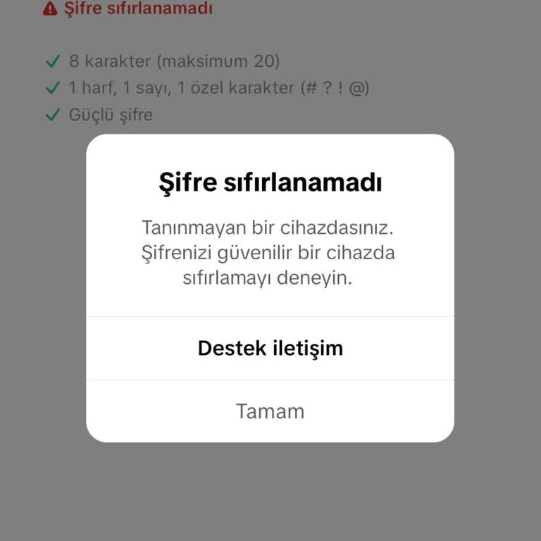 TikTok Hesabıma Erişim Kesildi
