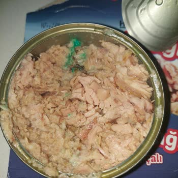 Harras Ton Balığında Yabancı Madde Ve Ambalaj Atığı Tespit Edildi