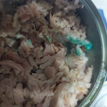 Harras Ton Balığında Yabancı Madde Ve Ambalaj Atığı Tespit Edildi