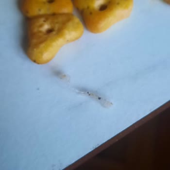 Eti Pizza Kraker Paketi İçinde Yabancı Madde Çıktı Ve Hijyen Güven Sorunu